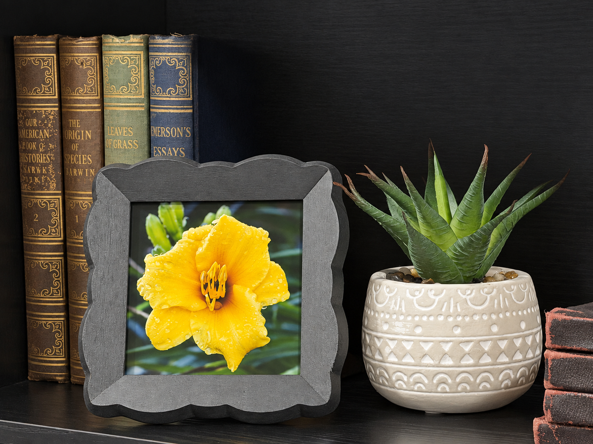 Yellow Day Lilly