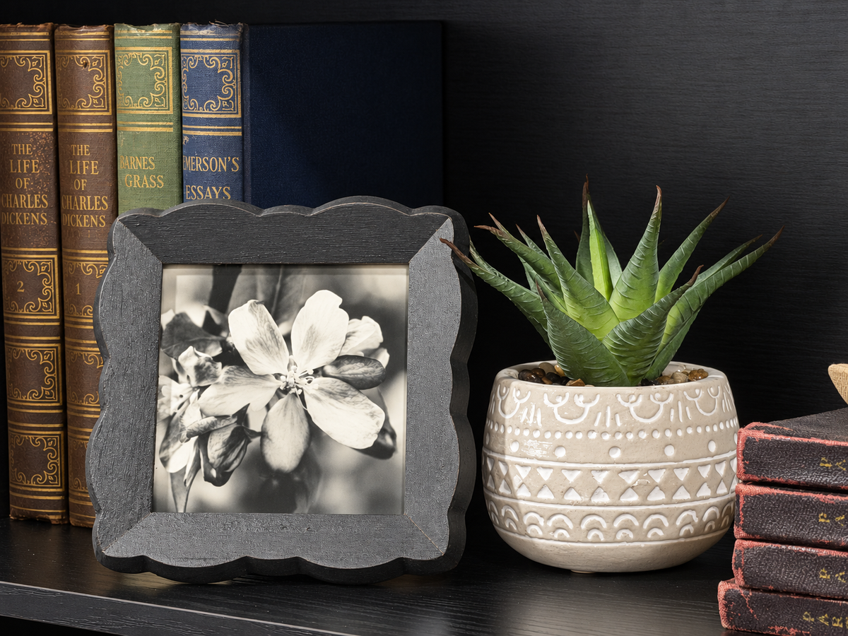 A dark gray scalloped frame holding a black-and-white floral photograph, styled on a dark shelf beside a potted succulent and books.