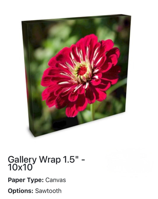 Canvas print of a red flower with text describing the product details.