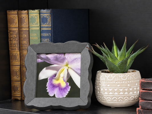 A square gray picture frame with a scalloped edge, displaying a close-up photograph of a purple and white orchid flower with a yellow center, styled on a dark shelf next to a potted succulent and antique books.