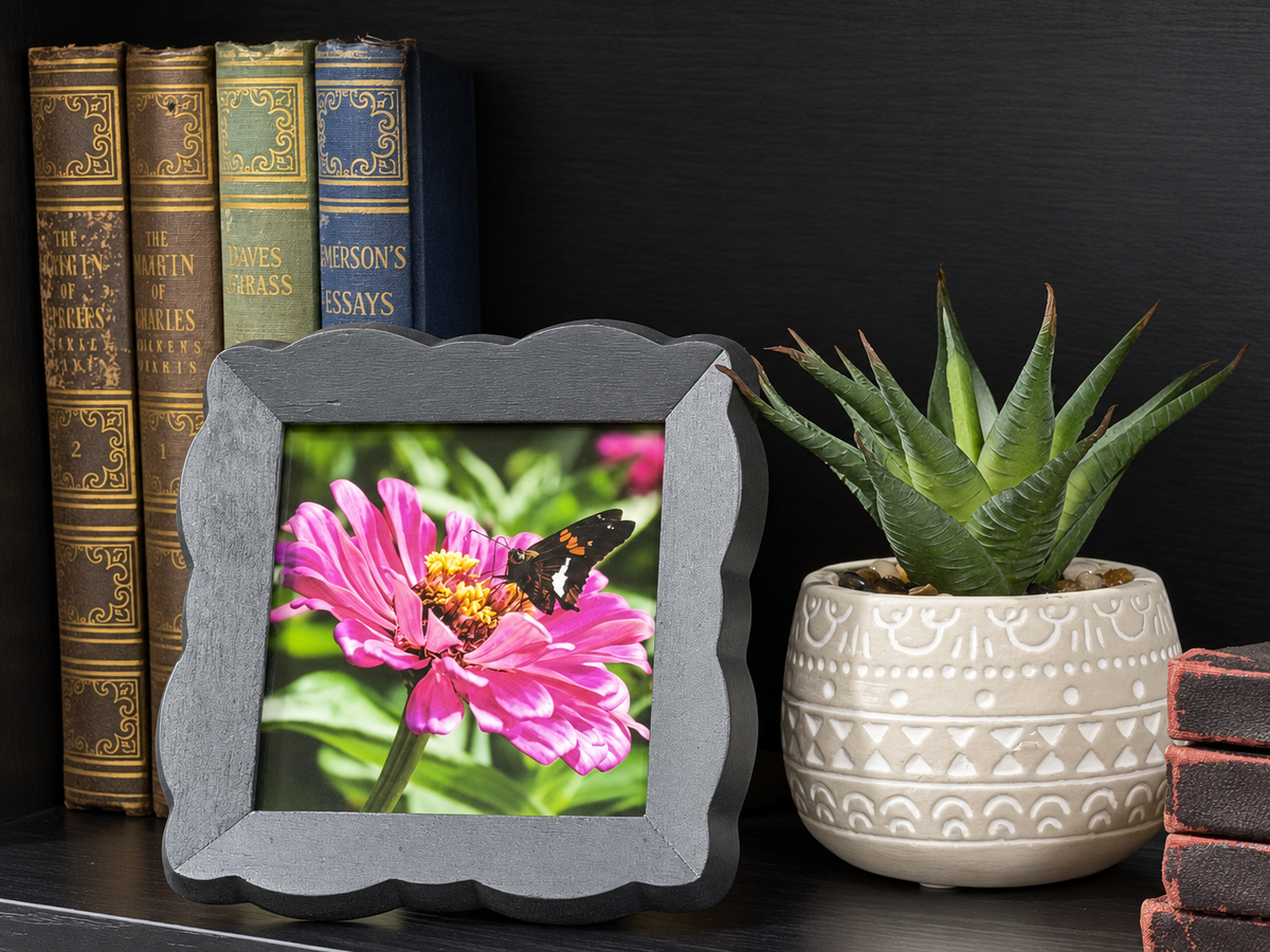 A square gray picture frame with a scalloped edge, displayed on a dark shelf next to a potted succulent and a row of antique books. The frame contains a printed photo of a pink zinnia flower with a butterfly.