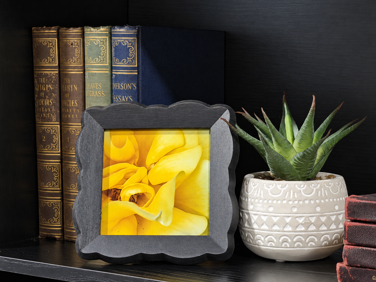 A square black picture frame with a scalloped edge holding a yellow flower print, styled on a dark bookshelf next to a potted succulent and antique books.