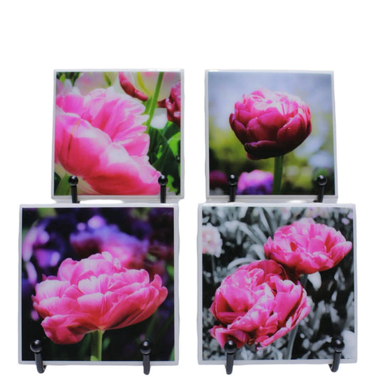 Pink Tulips Art Print Coasters